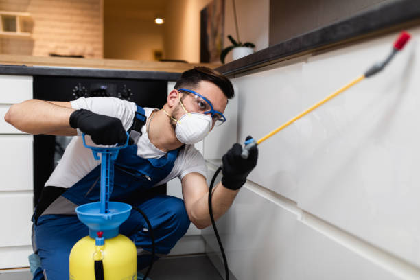 Best Mosquito Control Services  in Wyncote, PA