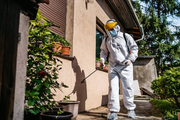 Best Wasp Removal Services  in Wyncote, PA