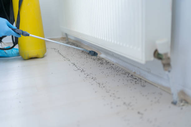 Best Pest Removal Services  in Wyncote, PA